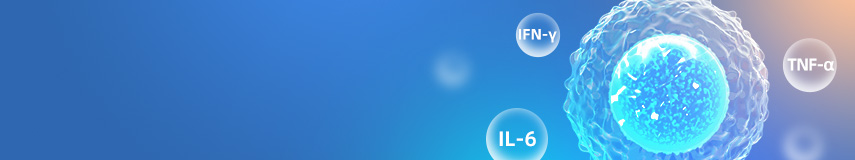 細(xì)胞因子抗體