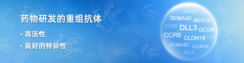 藥物研發的重組抗體