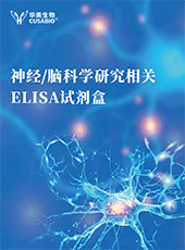 神經/腦科學研究相關ELISA試劑盒